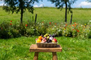 Fruitmand 25 euro