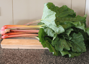 Rabarber bos (1 kg)