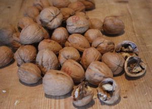 Walnoten (500 gr)