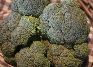 Broccoli 250 gr.