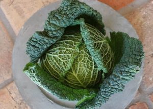 Groene kool (1 st)