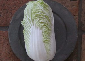 Chinese kool (1 st)