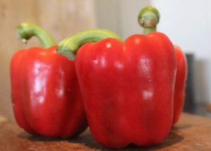 Rode Paprika rood (1 st)
