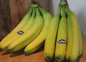 Banaan (1 kg)