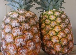 Ananas (1 st)