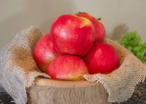 Appels Elstar (2 kg)