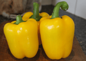 Gele paprika (1 st)